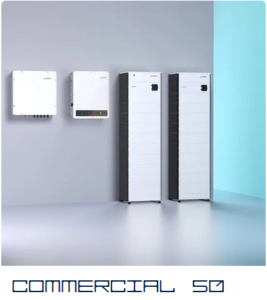FENECON Commercial 50 mit FEMS EMS